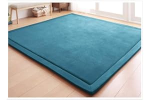 Loartee Teppich, Korallen-Samt, für Schlafzimmer, Wohnzimmer, Kinder, Arbeitszimmer, Küche, Kinderzimmer, Krabbeln, Wandern, Spiele, Yoga, Gymnastik, Nickerchen, Blau, 200 * 250cm