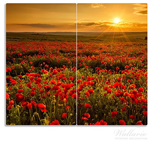 Wallario Herdabdeckplatte / Spritzschutz aus Glas, 2-teilig, 60x52cm, für Ceran- und Induktionsherde, Mohnblumenwiese bei Sonnenuntergang am Abend