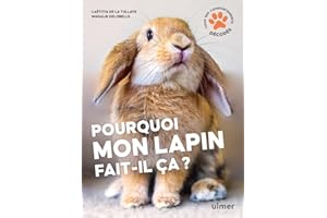 Pourquoi mon lapin fait-il ça ?