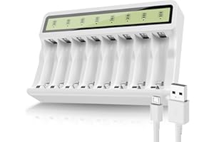 POWEROWL - Caricabatterie Pile Ricaricabili AA AAA, Funzione di Ricarica Rapida USB, Rilevamento Intelligence Della Batteria, per 8 batterie ricaricabili Ni-MH