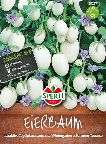 Eierbaum- essbare Früchte
