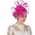 Fascinator Hat Feather Mesh Net Veil Party Hat Ascot Hats Flower Derby Hat with Clip and Hairband for Women