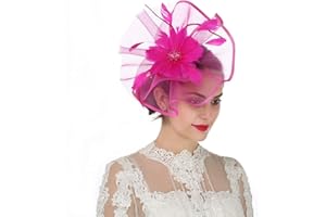 HAOJING Fascinator Hat Feather Mesh Net Veil Party Hat Ascot Hats Flower Derby Hat with Clip and Hairband for Women