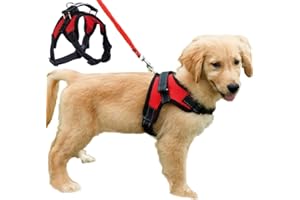 FUNKEEN PET HOUSE Dog Harness Mesh Breathable Comfortable Pet Vest No Pull Adjustable Soft Padded Dog Power Strap (S, Red)