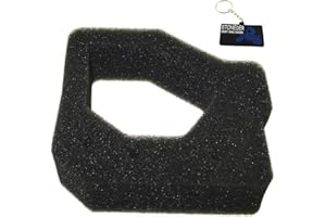 STONEDER Nettoyeur de filtre à air pour motoculteurs Honda 17211-Z0H-800 GX25 FG110 Honda GX25 GX25N GX25NT