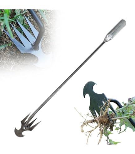 Attrezzo Per Diserbo Manuale OCCOUMR - In Acciaio Inox Con Manico, Per Denti Di Leone E Erbacce | Giardinaggio Preciso - Foto 5