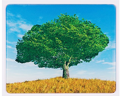 WENKO 2712416500 Glas Schneidebrett, 4-er set, mit 4 Jahreszeiten Motiv, Platzset, Schneidbretter, 20cm x 30cm, Rutschstopp - 2