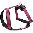 Weiches Hundehalsband Aus Neopren – Reflektierend, Verstellbar, Für Große Hunde (Gr. L, Rosa)