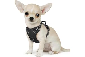 Eagloo Pettorina Cane Taglia Piccola, Pettorina ad h, Pettorina Antifuga Cane, Pettorina Anti Tiro per Cani con Doppio Gancio, Robusto e Regolabile per Addestramento, Pettorina Cucciolo, XS, Nera