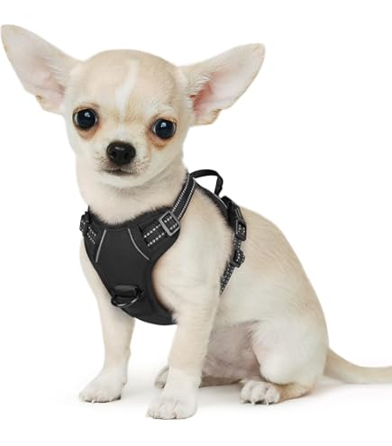 PetSafe Easysport Dog Harness Sizing PetSafe EasySport Nylon