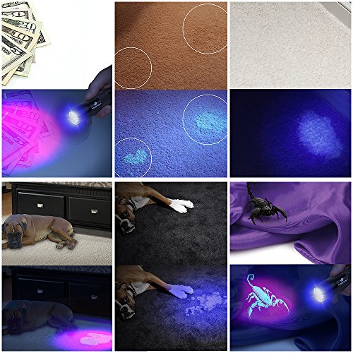 Kungix UV Taschenlampe mit 12 LEDs , Haustiere Urin-Detektor für eingetrocknete Flecken Ihrer Hunde, Katzen und Nagetiere auf Teppichen, Vorhänge, Gardinen, Möbel und anderen Stoffen, Hund usw 3xAAA-Batterien inkl - 4
