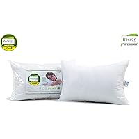 Recron Certified Dream Fibre Pillow - 41 cm x 61 cm, White, 2 Piece