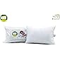 Recron Certified Dream Fibre Pillow - 41 cm x 61 cm, White, 2 Piece
