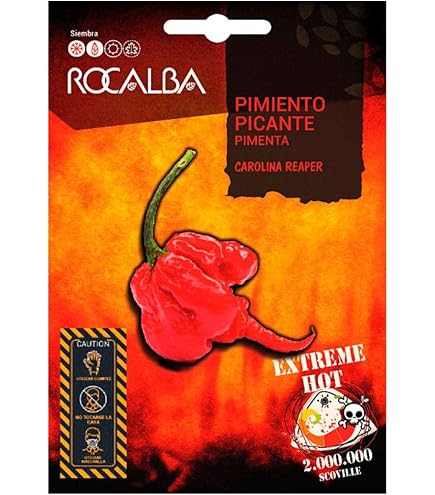 25 Graines De Piments Antillais Habanero Légumes Jardins - Semences Paysannes