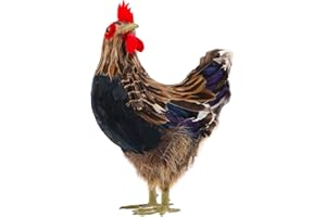 ORFOFE Adorno De Gallina Realista Peluche Estatua Decorativa para Jardín Juguete De Pollo Falso Decoración De Pascua Simulación