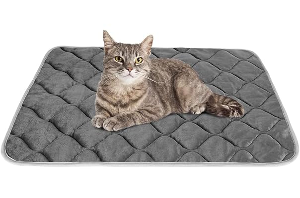 cat mat bed