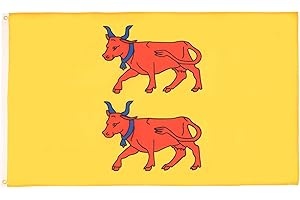 AZ FLAG - Drapeau Régions françaises - 2 œillets métalliques - Polyester 100D