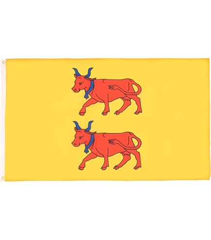Drapeau Province Du Béarn 150x90cm - Pyrénées-Atlantiques - France