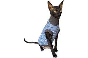 Kotomoda Sphynx Gatto Dolcevita Gatto Piccoli Gatti Blu Nudo Gatto Senza Capelli Vestiti Gatto (S)