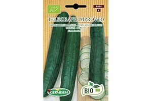Germisem Orgánica Telegraph Improved Semillas de Pepino 5 g (ECBIO4024)