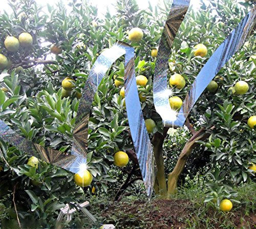 MYTK Seitige Abwehrband Vogel Band Vogelabwehr Band Reflexion (350 Fuß x 2 Zoll) - 5