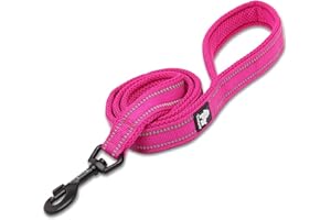 TRUELOVE TRUE LOVE Dog Leash Puppy Walking Lead Pet Chain Padded Reflective Night Safe Rope Length 110cm TLL2111(Fushcia,M)