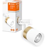 LEDVANCE Tracklight ray sistemi lamba başlığı, altın/beyaz, GU10 duylu