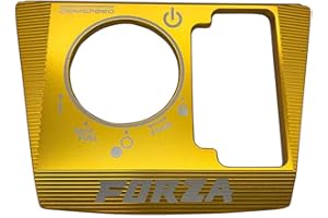 LongGreat Couvercle de commutateur de Verrouillage électrique Cadre de Couverture de Capuchon de Verrouillage de clé d'allumage de Moto pour Honda Forza 300 125 250 2018-2020