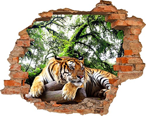 Fototapete 3D Bild Tapete Loch in der Wand Tiger ruhen in den Wäldern Dschungel Wildnis große Katze