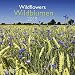 Produktbild Wildblumen - Broschurkalender - Kalender 2019 - teNeues-Verlag - Art & Image - Wandkalender mit Poster und Platz für Eintragungen - 30 cm x 30 cm (offen 30 cm x 60 cm)
