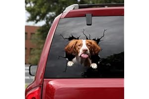 OCEAN GIFT Decalcomanie per auto con cane, confezione da 2 adesivi per auto, realistici della Bretagna, per finestre, serie 63, dimensioni 30,5 x 30,5 cm