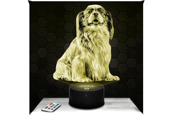 Lampephoto.fr - Lampe 3D Cavalier King Charles Cadeau Cavalier King Charles Animal Chien, Veilleuse Tactile Led, Effet Hologramme 3D, Idée Cadeau Noël Anniversaire Garçon ou Fille, Objet décoration
