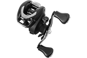 Daiwa CC80 Baitcasting Reel High Speed