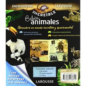 Bebés animales (Larousse - Infantil / Juvenil - Castellano - A Partir De 5/6 Años - Enciclopedia Increíble 5 Años)