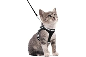 rabbitgoo Pettorina Gatto Antifuga, Guinzaglio Gatti Regolabile, Imbracatura Ultra-Leggero Morbido Riflettente per Cucciolo, Gattini e Gatto Piccolo, Pettorina per Passeggio e Corsa, S, Nero