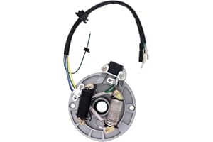 Windance 2 bobine di accensione magneto statore piastra per 50cc 70cc 90cc 110cc 125cc cinese Dirt Bike Taotao Kazuma SSR Baja ATV Quad 4 ruote