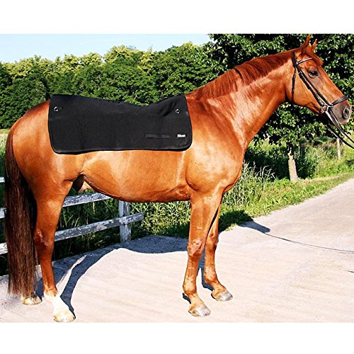 Protège-dos chauffant Back-On-Track, 100 cm x 100 cm