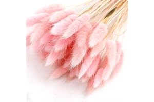 OUKEYI Home Decoration Lagurus Ovatus Rabbit Tail Dried Flowers, Real Flower, Eternal Flower Dried Grass,Flower Bouquet, Natural Material Shooting Props Dried Flowers 50PCS (Light pink)