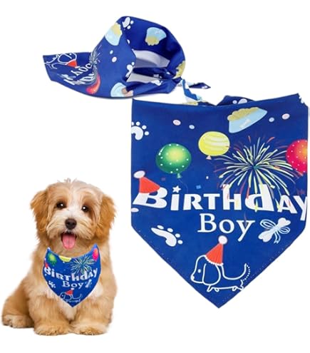 Set Compleanno Cane - Cappello E Bandana Con Numeri Glitter Per Feste