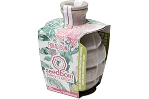 Kabloom - Eco Friendly Foragebom Seedbom - Gardening Gifts - Flower Seeds - Edible Common Herbs - Wildflower Seed Mix Shell - Seeds for Planting UK