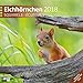 Produktbild Eichhörnchen 30x30 2018