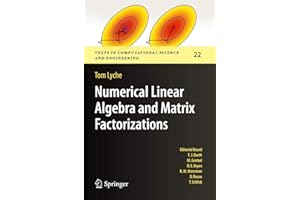 Numerical Linear Algebra and Matrix Factorizations: 22 (Texts in Computational Science and Engineering, 22)