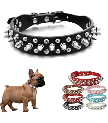 Leder-Hundehalsband Mit Nieten – Robustes Kombi-Set Für Große Hunde Wie Pitbull Oder Husky, 5,1 Cm Breit