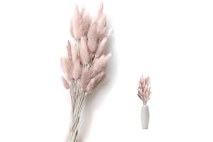 SoeUyd 50 Piezas Flores Secas Decoracion, Flores Secas Naturales, Pampas Secas Decoracion Arreglos de Flores Secas Decoración de Salones Dormitorios, Decoración de Bodas Y Flores DIY