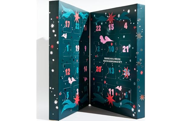 Thés de la Pagode - Calendrier de l’Avent Thés & Infusions Bio Princesse Zao - Thés Verts, Thés Blanc, Thés Santé & Bien-Être, Tisanes, Rooibos - 24 Sachets de Thés de Noël