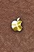 AMAZING DEAL Apple Logo for I Phone 4s,5s, 6 Plus, 6S Plus, 7 Plus and android phones GOLDEN colour RS.299.00