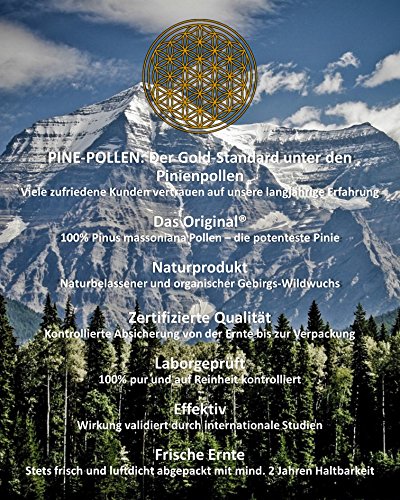 PINE POLLEN (Pinien Pollen) – Natürliche Wildsammlung | TOP-Qualität vom NR.1-Original | ISO-9001-zertifiziert | laborgeprüft auf über 20 Bestandteile | 80µm filtriert für höchste Güte | roh und unbehandelt | 100g - 2