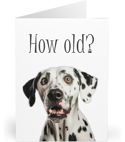 Old English Co. Lustige Geburtstagskarte „Forget The Present“ – Für Ihn Oder Sie, Blanko-Innenseite