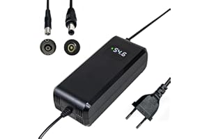 YANGZIDIANYUAN Chargeur Batterie 54.6V 4A, pour Batterie Lithium 48V, avec Affichage LED et Multiples Fonctions de Protection et de réparation, équipé de connecteurs RCA 8mm, DC 5.5 * 2.1mm