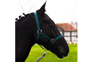 PFERDELINIS Cavezza per cavallo, sangue caldo, purosangue, sangue freddo – cavezza per stalla, cavezza per pascolo, 2 regolazioni su sottogola e nuca – sicura e antistrappo (verde abete, sangue caldo, Full)